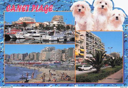 66 CANET EN ROUSSILLON CANET PLAGE
