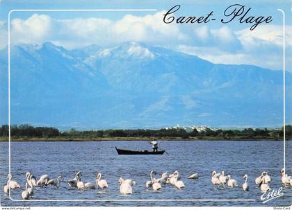 66 CANET EN ROUSSILLON CANET PLAGE