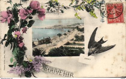 CPA Cannes Souvenir Oiseau