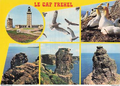 22 CAP FREHEL CAP FREHEL