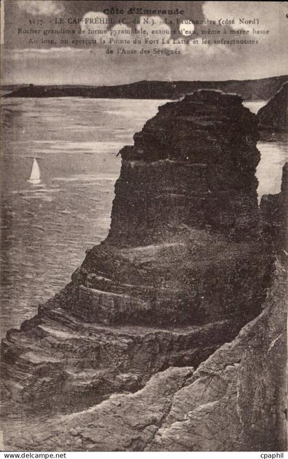 Cap Frehel CPA La fauconnerie (cote Nord)