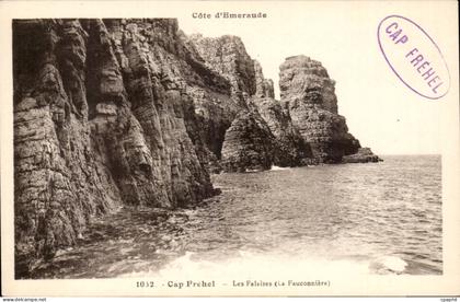 Cap Frehel CPA Les falaises (la fauconnerie)