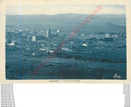 11.  CAPENDU .  Vue panoramique .
