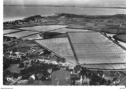CPA CARNAC MARAIS SALANTS -non circulée