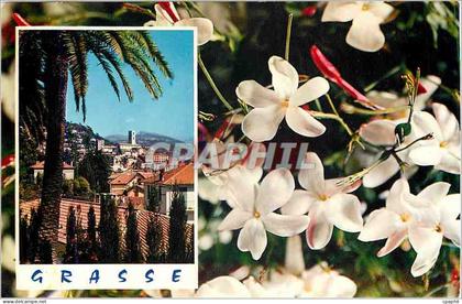 CPA Cote d'Azur Carrefour Mondial du Tourisme Grasse Cite des Fleurs et des Parfums Le jasmin