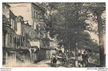 AYCP11-1119-81 - CASTELNAU-DE-MONTMIRAIL - Avenue de gaillac