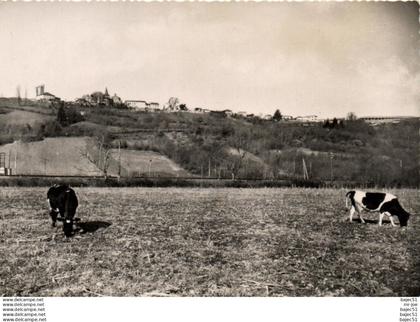 1 cpsm Castelnau rivière basse - vue générale