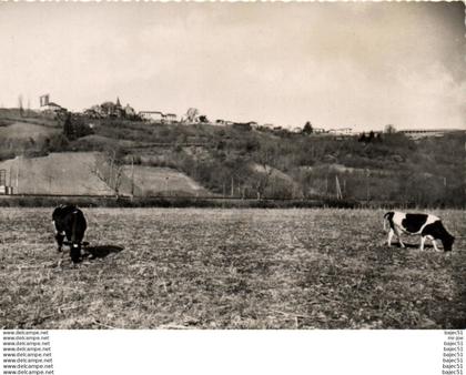 1 cpsm Castelnau rivière basse - vue générale