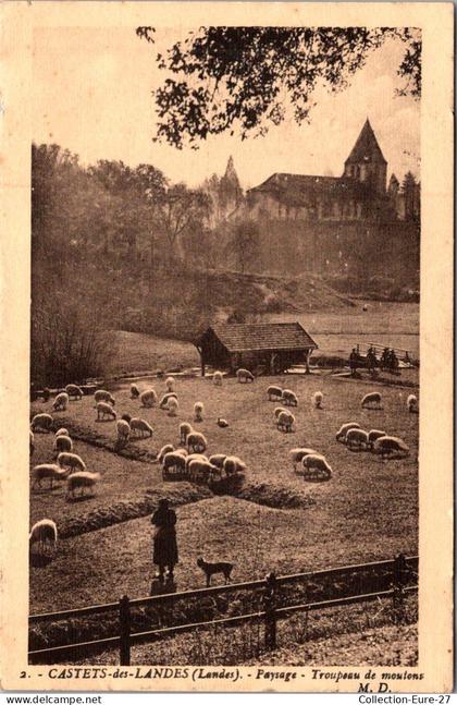 (23/03/26) 40-CPA CASTETS DES LANDES
