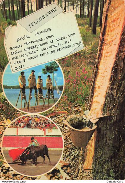 40 CASTETS FOLKLORE ET CORRIDA