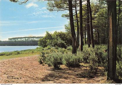 40 CASTETS LES LANDES