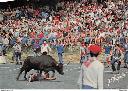 40 CASTETS VISAGE DES LANDES