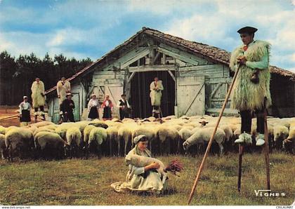 40 CASTETS VISAGE DES LANDES