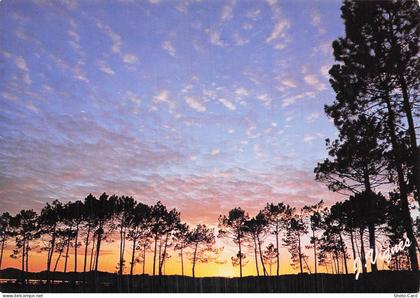 40 CASTETS VISAGES DES LANDES