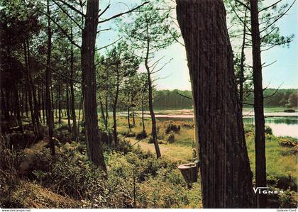 40 CASTETS VISAGES DES LANDES