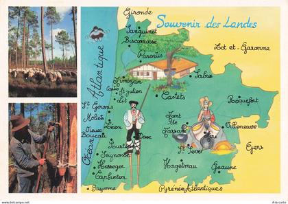 40 CASTETS VISAGES DES LANDES