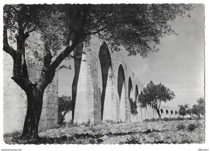 Castries, l'aqueduc (GF5442)