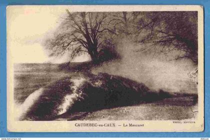 Carte Postale Ancienne - 76 - Caudebec en Caux - Le Mascaret - Ecrite