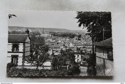 Cpsm, Caudebec les Elbeuf, vue générale, Seine Maritime 76