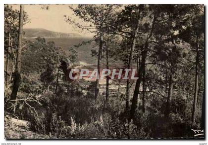 CPA La Cote D Azur Cavalaire sur Mer Bon Perlo
