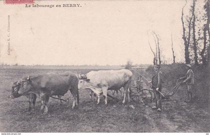 CENTRE-VAL-DE-LOIRE - BERRY - Le Labourage en BERRY - Animation - 22-01-25