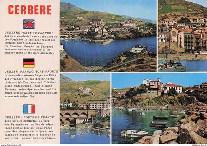 66 CERBERE PORT DE CERBERE