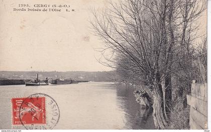 CERGY PONTOISE(ARBRE)