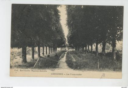 CERISIERS - Les Promenades