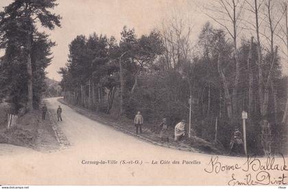 CERNAY LA VILLE(LA COTE DES PUCELLES)