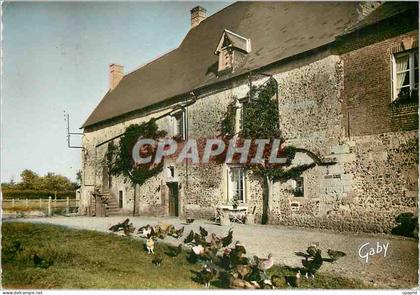 CPM Manoir Normand Cernay (Ve et XIe s)