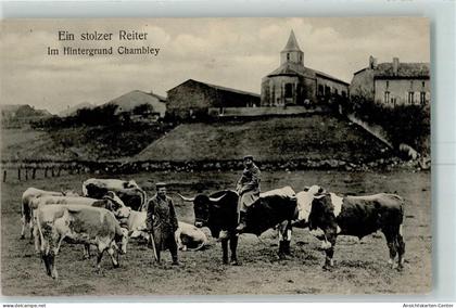 13154201 - Chambley-Bussieres