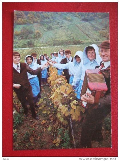 CHAMPAGNE - " GROUPE FOLKLORIQUE CHAMPENOIS " - ACCORDEON -- VIGNES ....