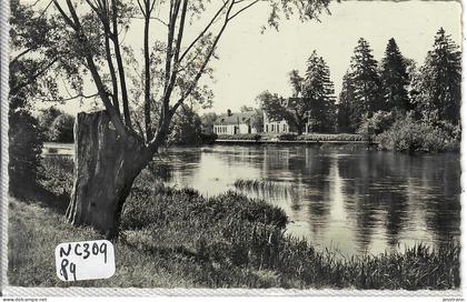 CHAMPS-SUR-YONNE- LES BORDS DE L YONNE