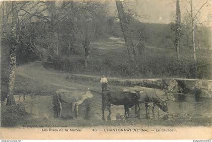 CPA Chantonnay  85/08