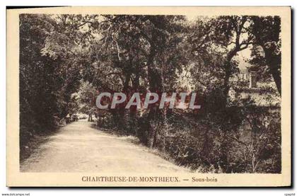 CPA Chartreuse de Montrieux Sous Bois