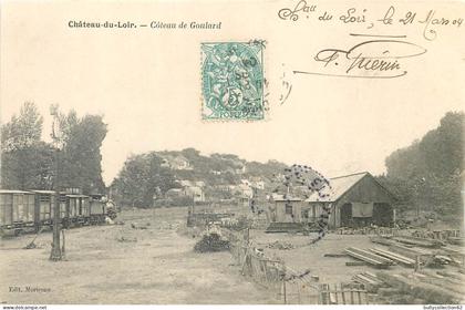 CPA Château du Loir 72/49
