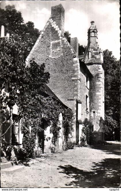 CPA Chateau du Loir (Sarthe) Chateau de Riablay