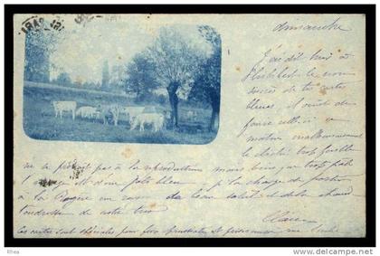 53 Château-Gontier vache D53D K53062K C53062C RH095747