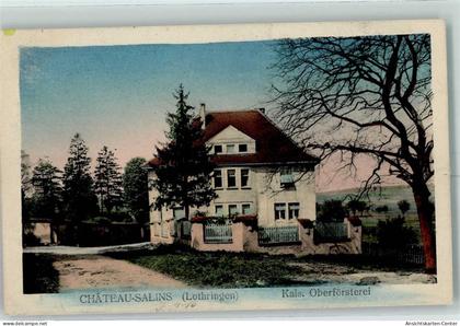 10352830 - Chateau-Salins