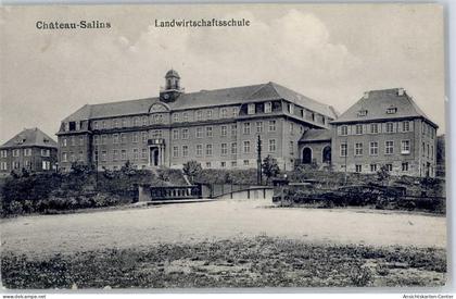 51484246 - Chateau-Salins