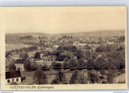 51487910 - Chateau-Salins