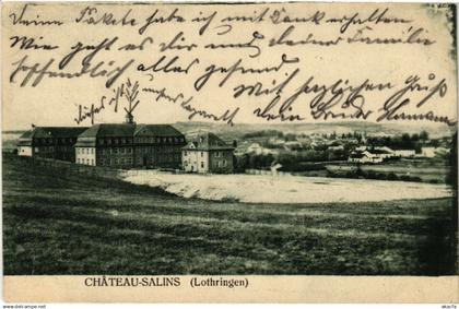 CPA AK CHATEAU-SALINS - Scene (387887)