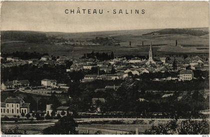 CPA AK CHATEAU-SALINS - Vue (387749)