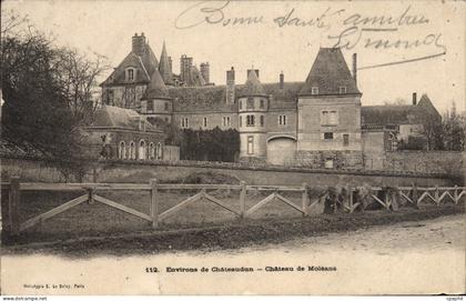 CPA Chateaudun Chateau De Moleans