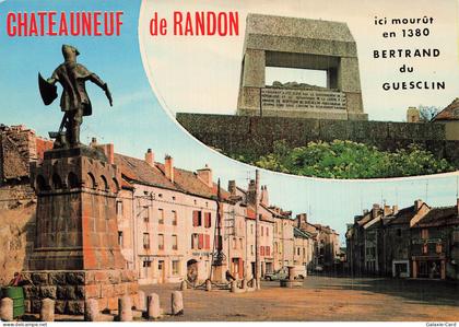 48 CHATEAUNEUF DE RANDON CHATEAU DE RANDON