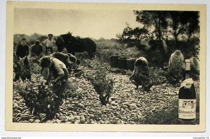 CHATEAUNEUF DU PAPE VENDANGES PERE ANSELME