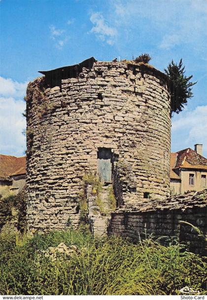 52 CHATEAUVILLAIN LA TOUR CHATEAUVILLAIN