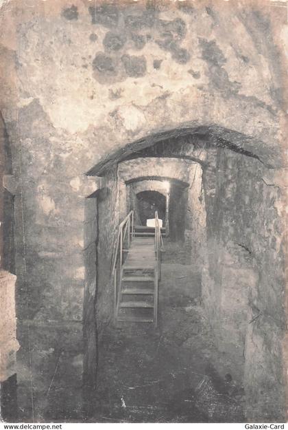 88 CHATEL SUR MOSELLE CHATEAU DE CHATEL SUR MOSELLE