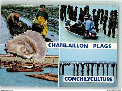10270129 - Chatelaillon-Plage