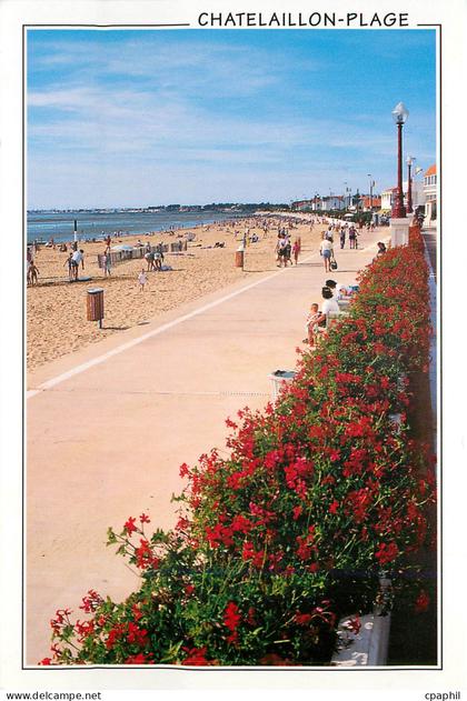 CPM Chatelaillon Plage la Plage et le Front de mer Fleuri